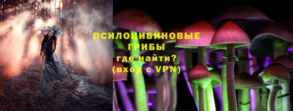 прущие крисы Алексеевка