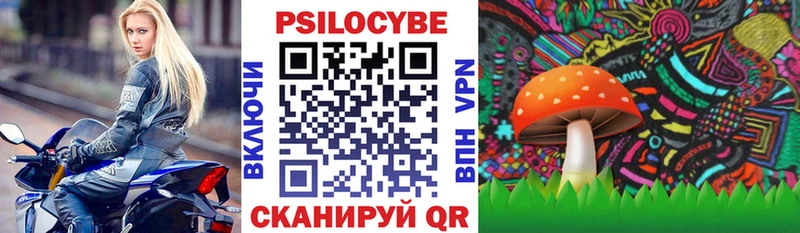 где купить наркотик  Крымск  Псилоцибиновые грибы Cubensis 